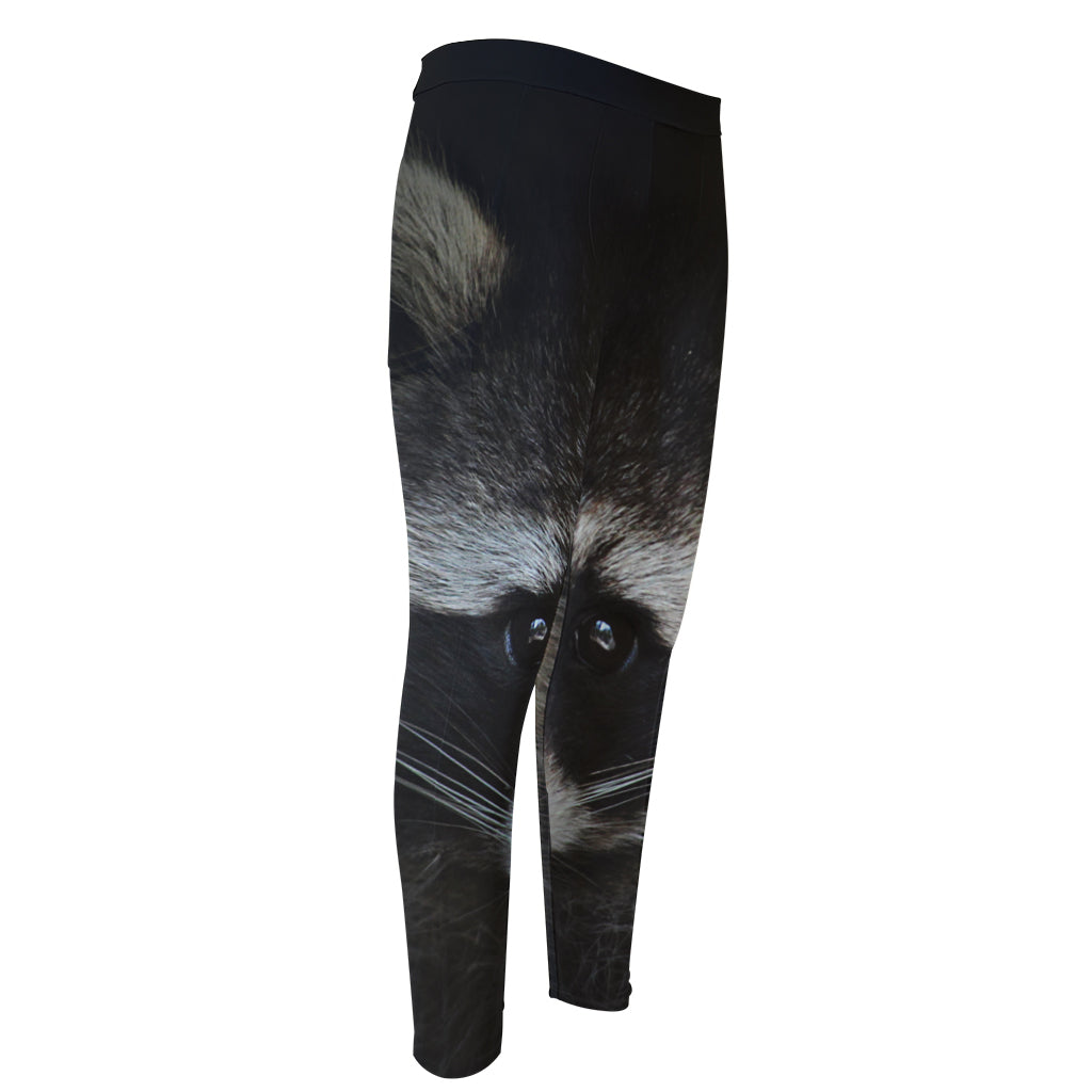 Raccoon Portrait Print Men's Compression Pants
