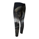 Raccoon Portrait Print Men's Compression Pants