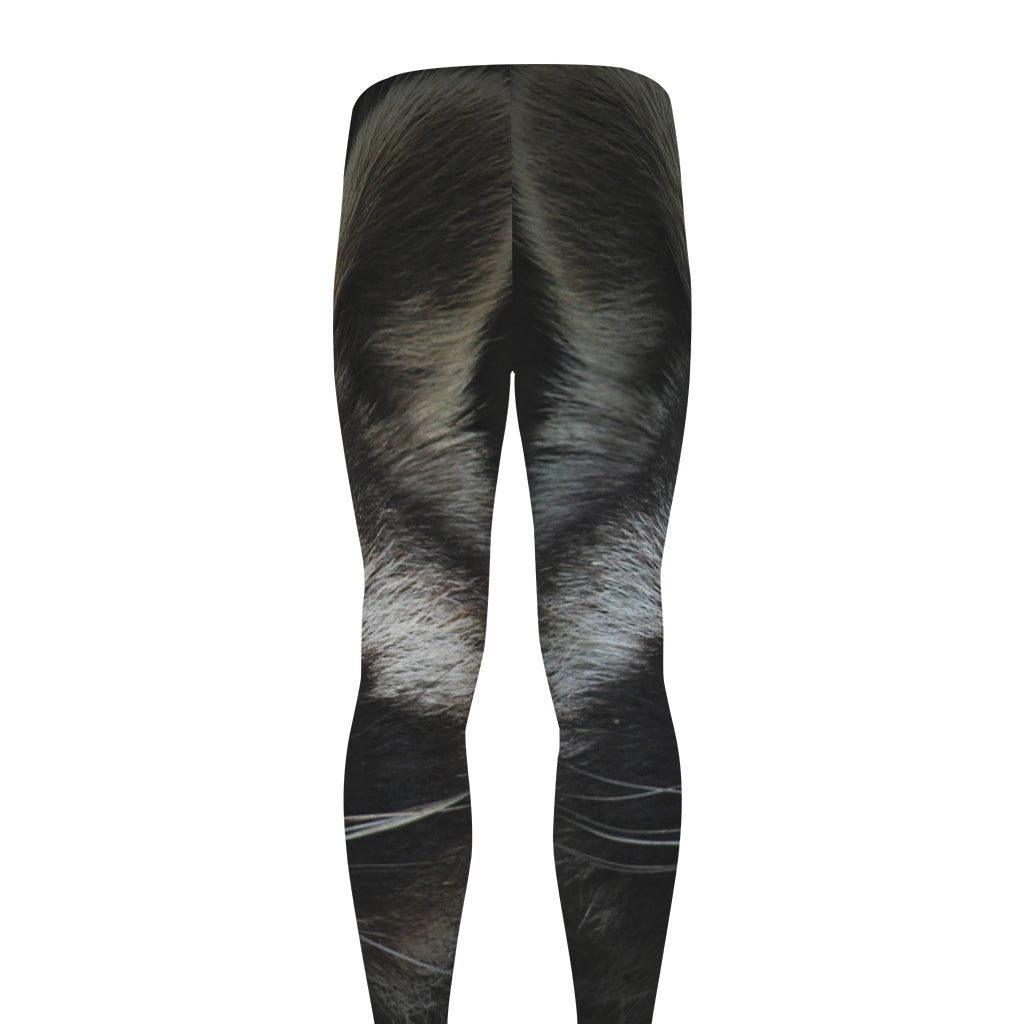 Raccoon Portrait Print Men's leggings