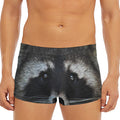 Raccoon Portrait Print Men's Short Boxer Briefs