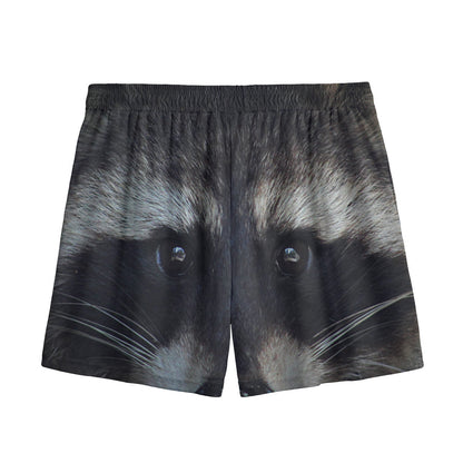 Raccoon Portrait Print Mesh Shorts