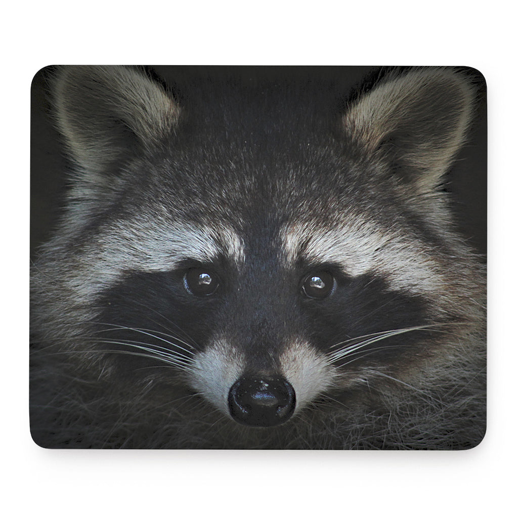 Raccoon Portrait Print Mouse Pad