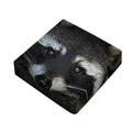 Raccoon Portrait Print Outdoor Seat Cushion Cover