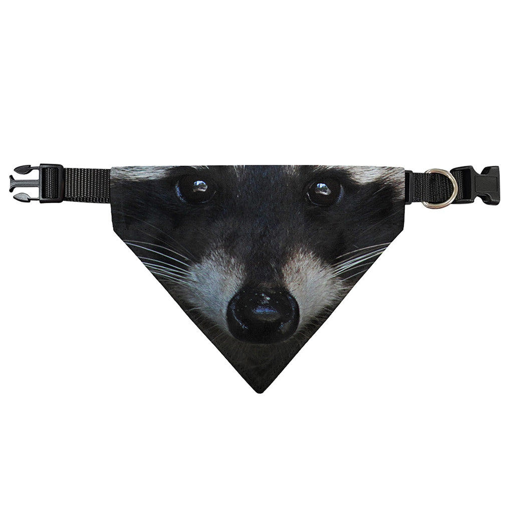 Raccoon Portrait Print Over The Collar Dog Bandana