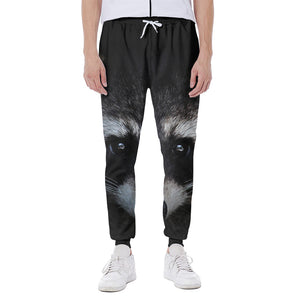 Raccoon Portrait Print Scuba Joggers