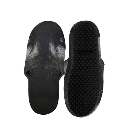 Raccoon Portrait Print Slippers