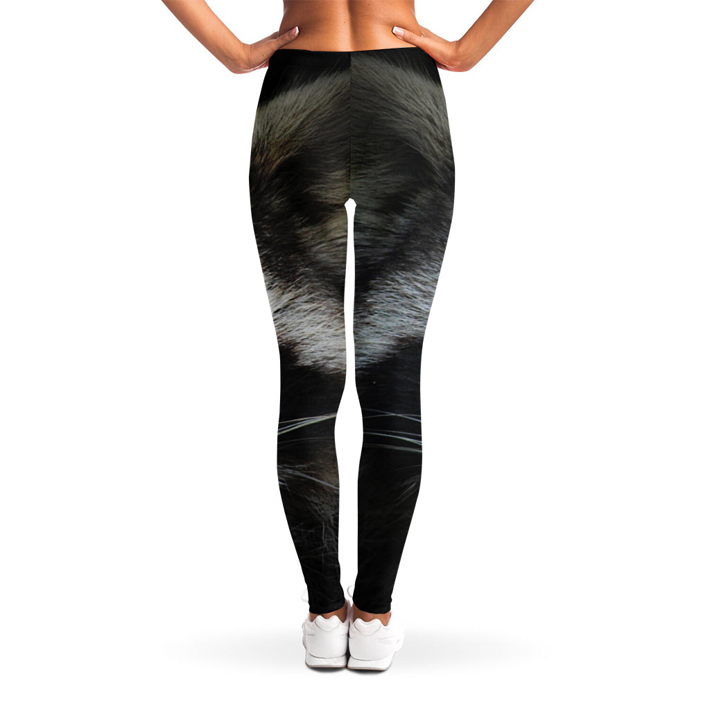 Raccoon Portrait Print Women's Leggings