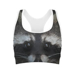 Raccoon Portrait Print Women's Sports Bra