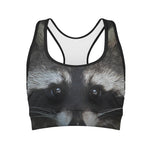 Raccoon Portrait Print Women's Sports Bra