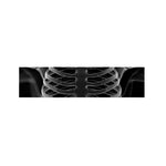 Radiologist X-Ray Film Print Bed Runner