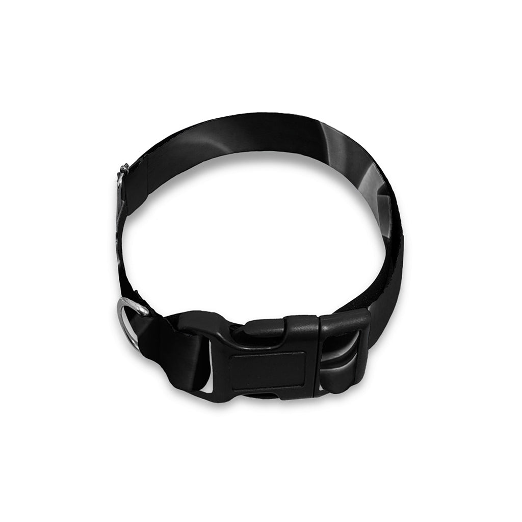 Radiologist X-Ray Film Print Dog Collar