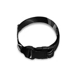 Radiologist X-Ray Film Print Dog Collar