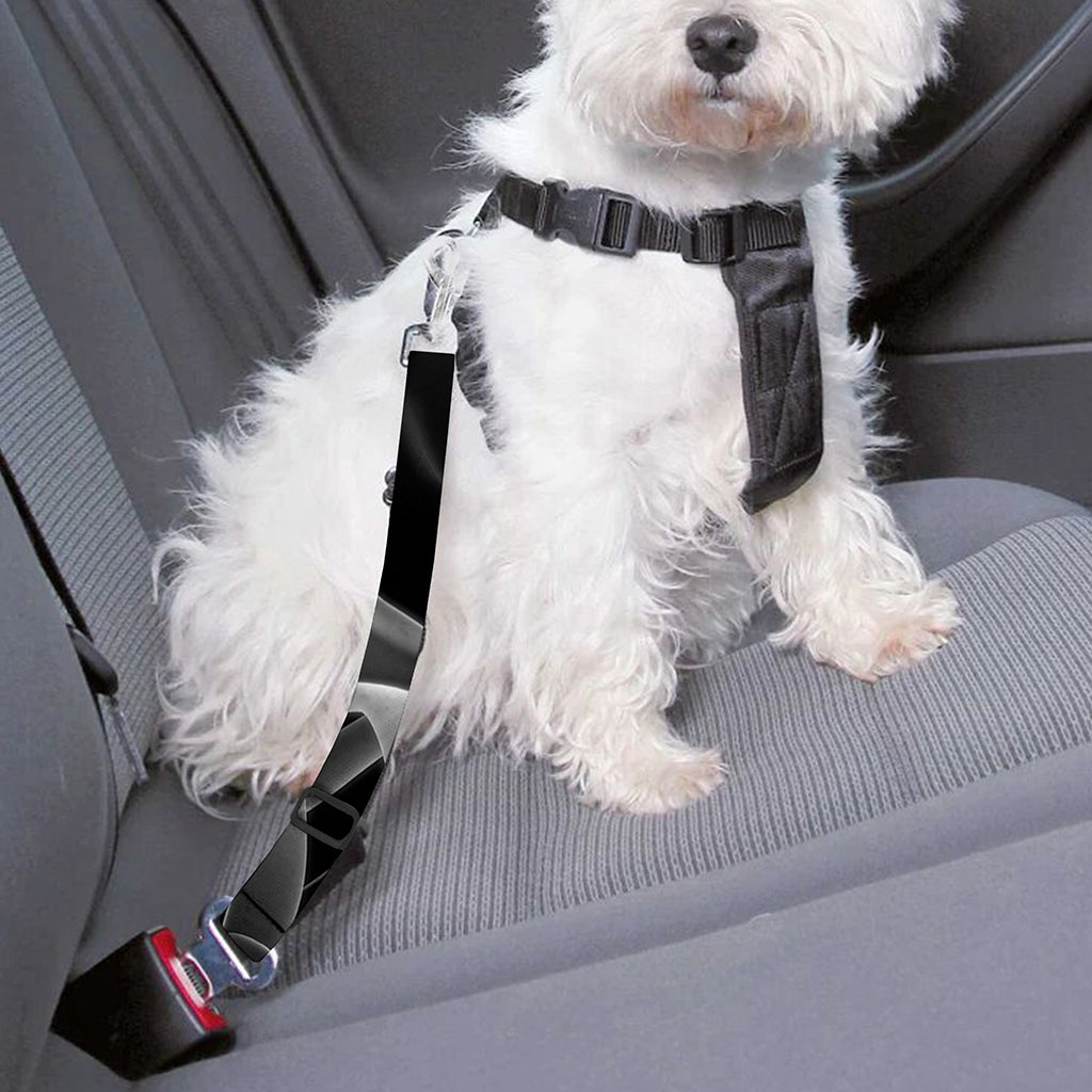 Radiologist X-Ray Film Print Dog Seat Belt