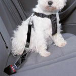 Radiologist X-Ray Film Print Dog Seat Belt