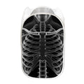 Radiologist X-Ray Film Print Mesh Laundry Hamper