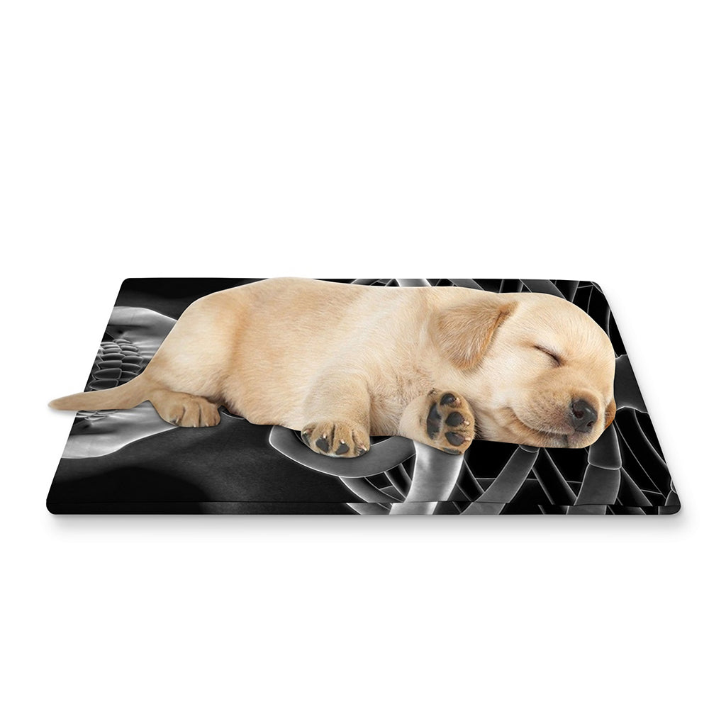 Radiologist X-Ray Film Print Pet Cooling Mat Cover