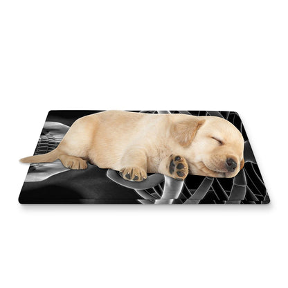 Radiologist X-Ray Film Print Pet Cooling Mat Cover