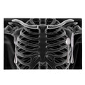 Radiologist X-Ray Film Print Placemat