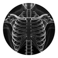 Radiologist X-Ray Film Print Round Blanket