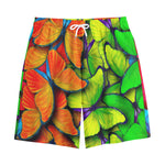 Rainbow Butterfly Pattern Print Cotton Shorts