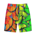 Rainbow Butterfly Pattern Print Cotton Shorts