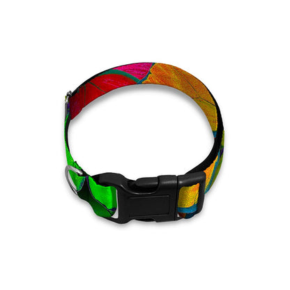 Rainbow Butterfly Pattern Print Dog Collar