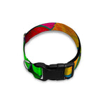 Rainbow Butterfly Pattern Print Dog Collar