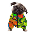 Rainbow Butterfly Pattern Print Dog Zip Up Jacket