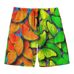 Rainbow Butterfly Pattern Print Men's Swim Trunks