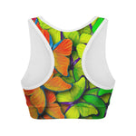 Rainbow Butterfly Pattern Print Women's Sports Bra