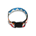 Rainbow Chevron Pattern Print Dog Collar