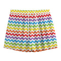 Rainbow Chevron Pattern Print Mesh Shorts