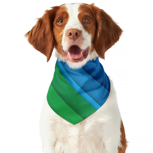 Rainbow Diagonal Lines Pattern Print Dog Bandana