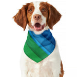 Rainbow Diagonal Lines Pattern Print Dog Bandana