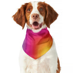 Rainbow Flow Print Dog Bandana
