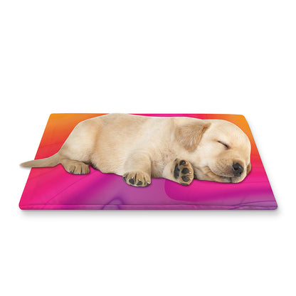 Rainbow Flow Print Pet Cooling Mat Cover