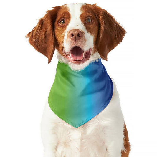 Rainbow Gradient Print Dog Bandana