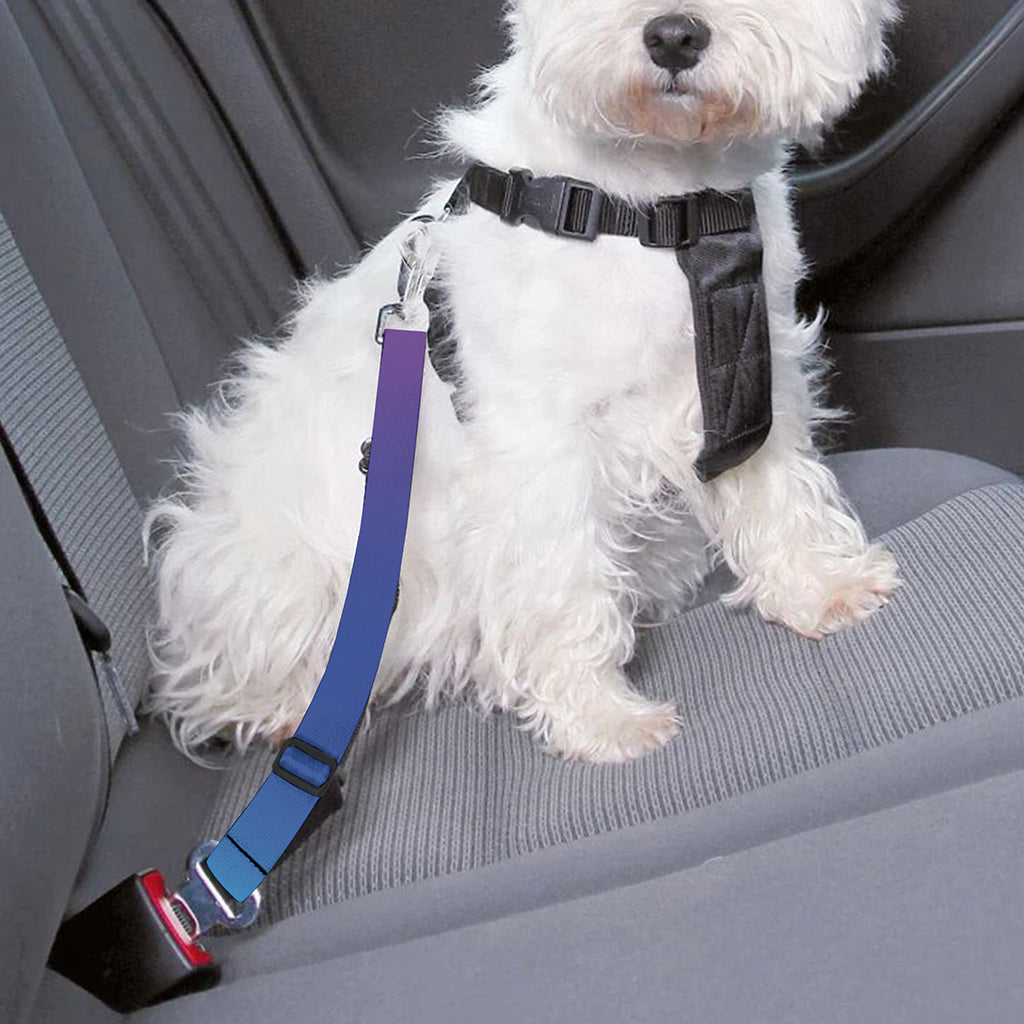 Rainbow Gradient Print Dog Seat Belt