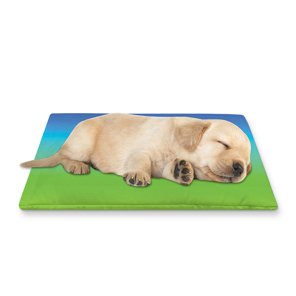 Rainbow Gradient Print Pet Cooling Mat Cover