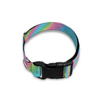 Rainbow Holographic Print Dog Collar