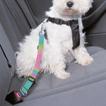 Rainbow Holographic Print Dog Seat Belt