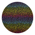 Rainbow Leopard Pattern Print Round Blanket