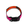 Rainbow Leopard Print Dog Collar
