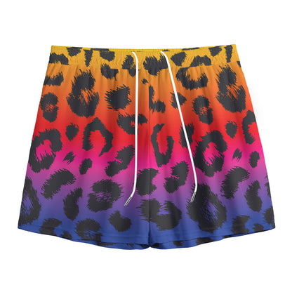 Rainbow Leopard Print Mesh Shorts