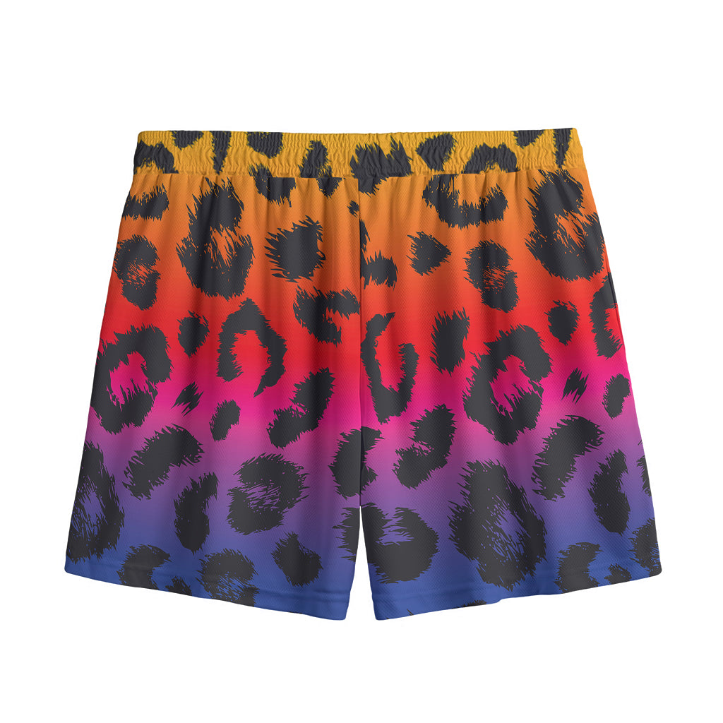 Rainbow Leopard Print Mesh Shorts