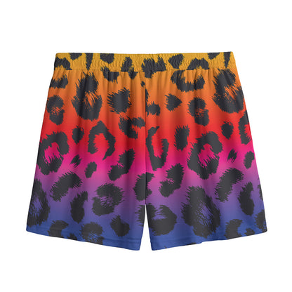 Rainbow Leopard Print Mesh Shorts