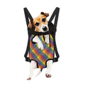 Rainbow LGBT Plaid Pattern Print Pet Carrier Backpack