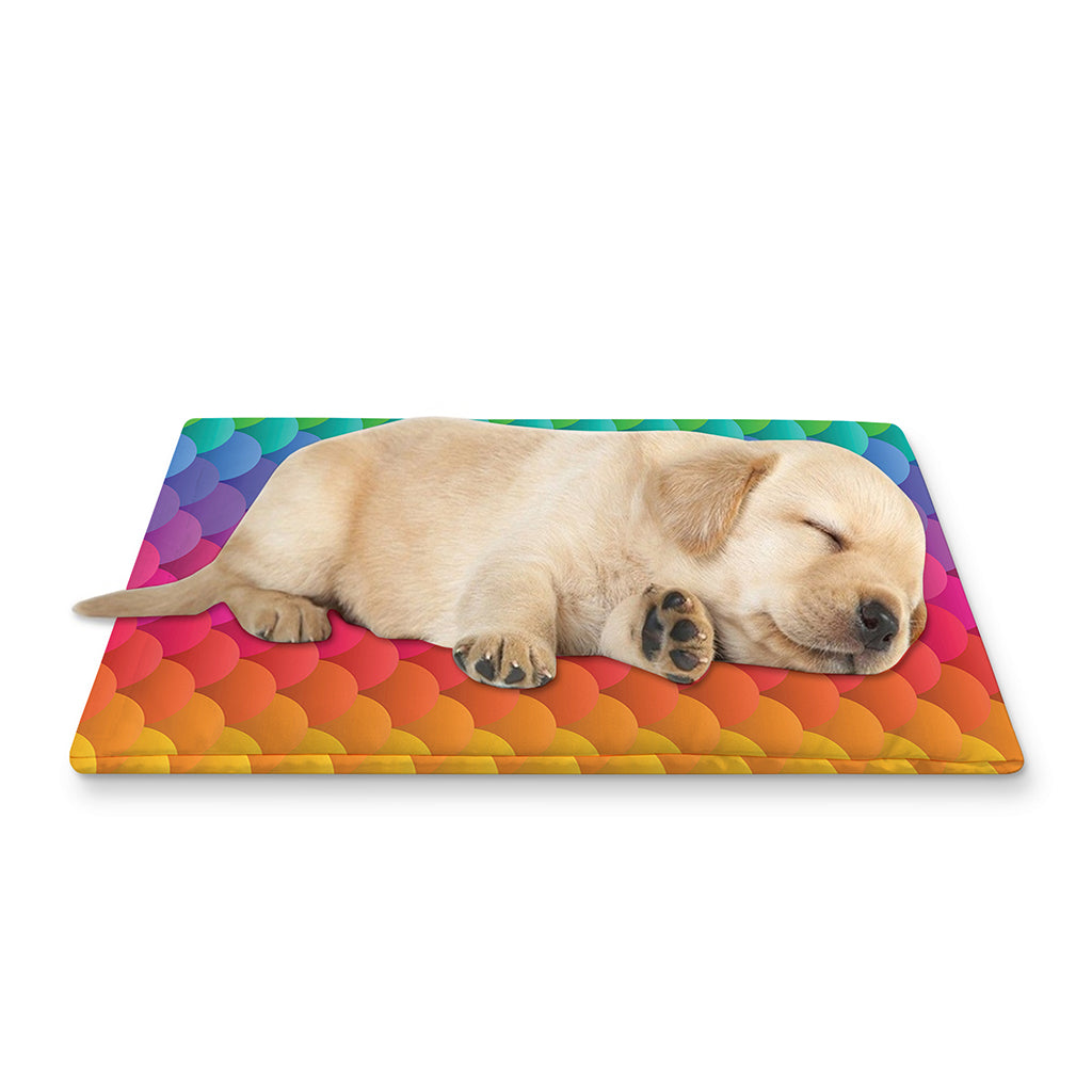 Rainbow Mermaid Scale Pattern Print Pet Cooling Mat Cover