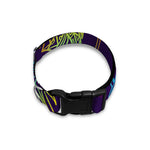 Rainbow Native Dream Catcher Print Dog Collar