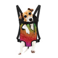 Rainbow (NOT Real) Glitter Artwork Print Pet Carrier Backpack